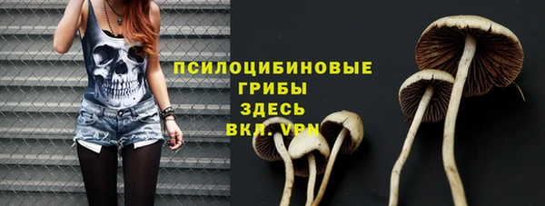 первитин Володарск